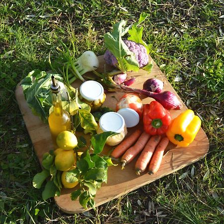 Villa Orta - Agriturismo Con Cucina Vegan, Plant-Based Farmhouse Riotorto Dış mekan fotoğraf