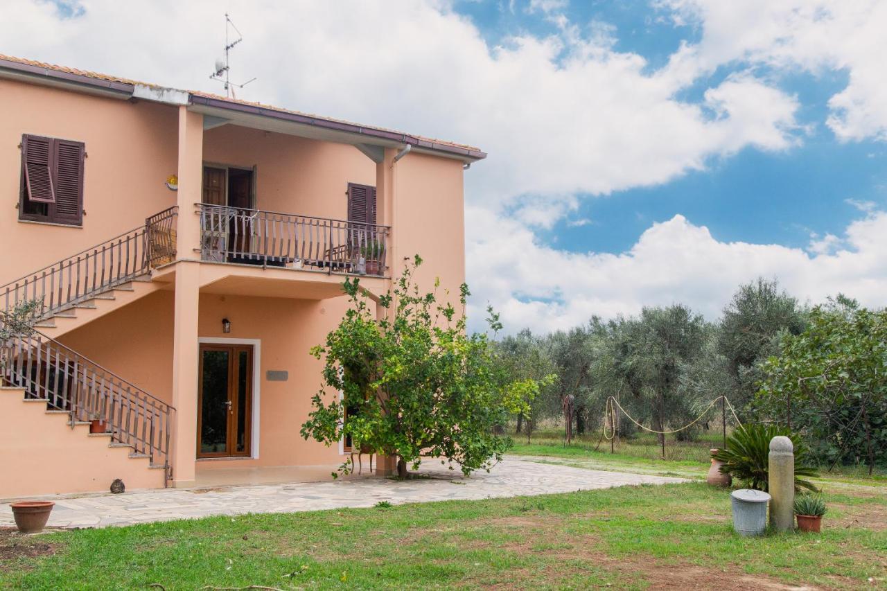 Villa Orta - Agriturismo Con Cucina Vegan, Plant-Based Farmhouse Riotorto Dış mekan fotoğraf